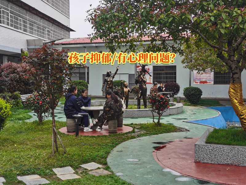 心理輔導(dǎo)學(xué)校,抑郁癥治療學(xué)校