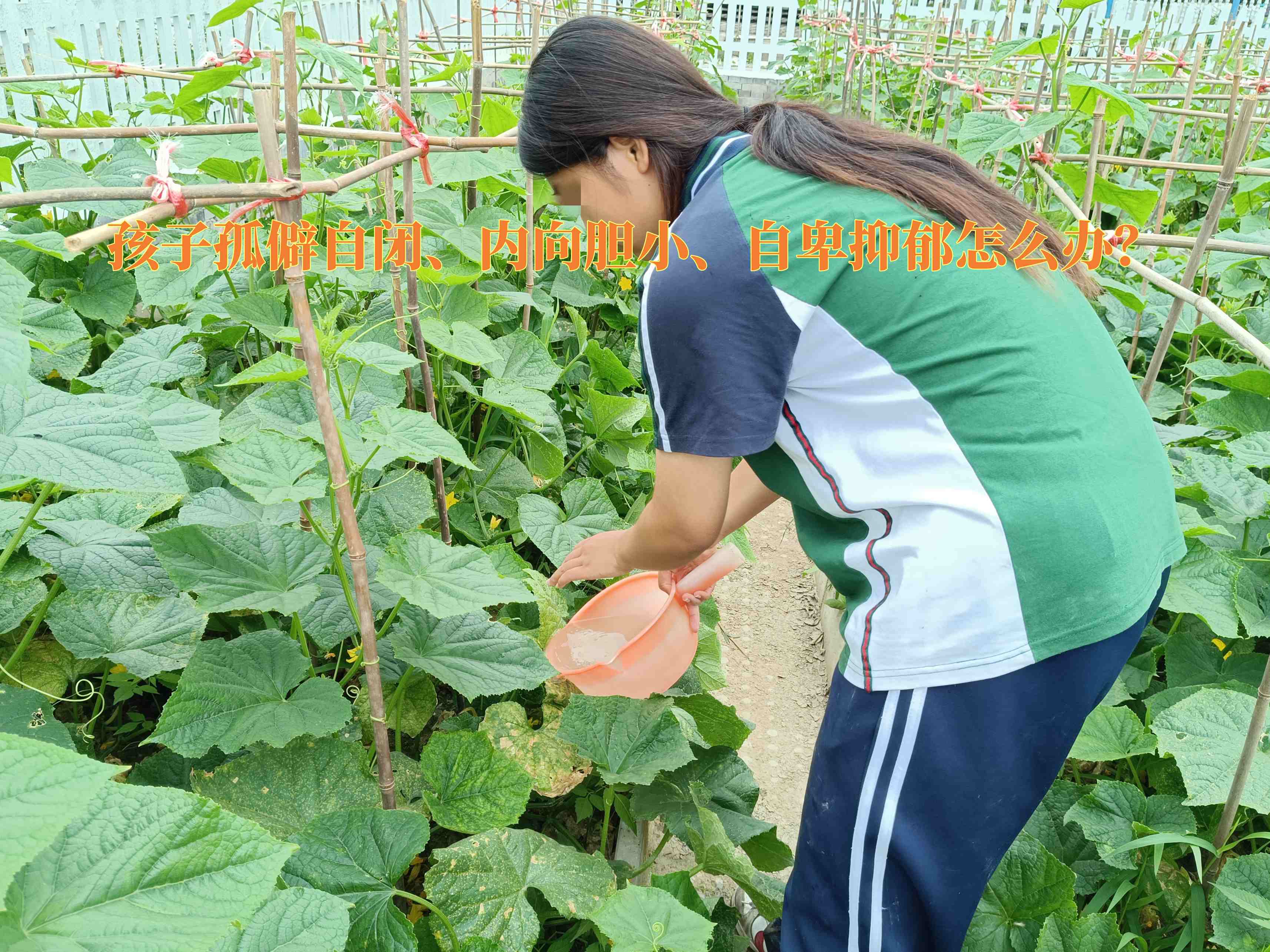 問題青少年教育學(xué)校,抑郁癥治療學(xué)校