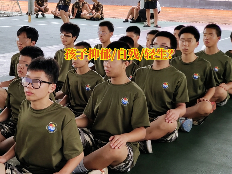 抑郁癥治療學(xué)校,心理輔導(dǎo)學(xué)校
