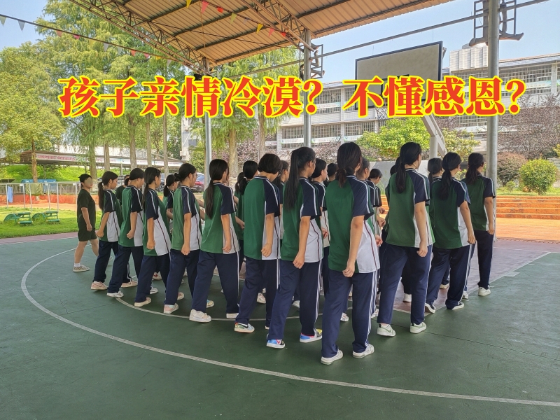 素質(zhì)教育學校,感恩教育學校