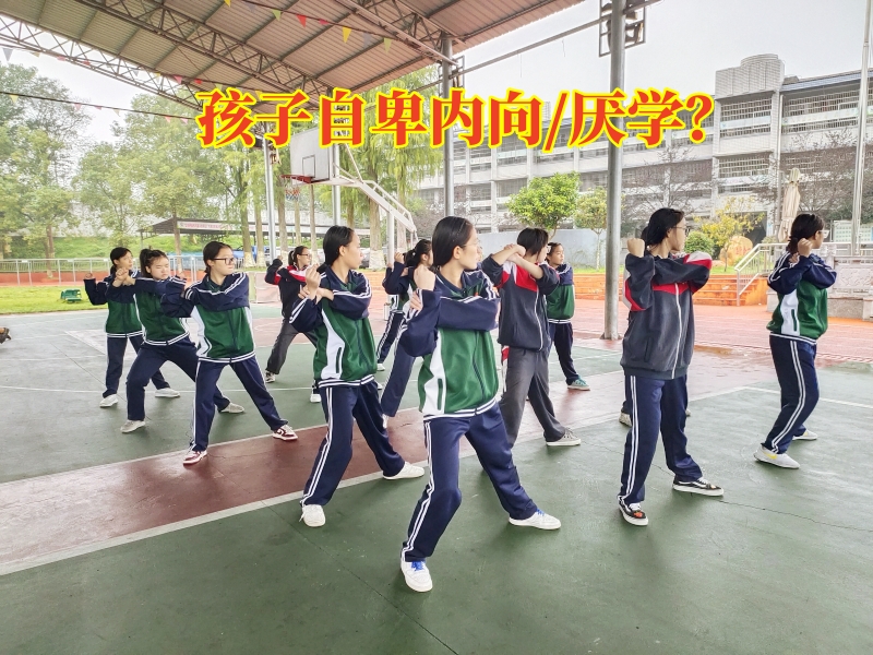 心理輔導(dǎo)學(xué)校,心理問(wèn)題孩子學(xué)校
