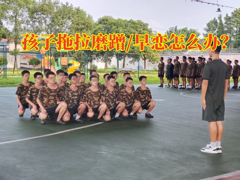 封閉式軍事化學校,軍事訓練學校