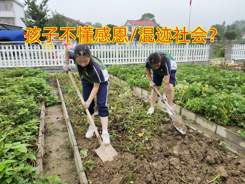 感恩教育學(xué)校,青少年教育學(xué)校