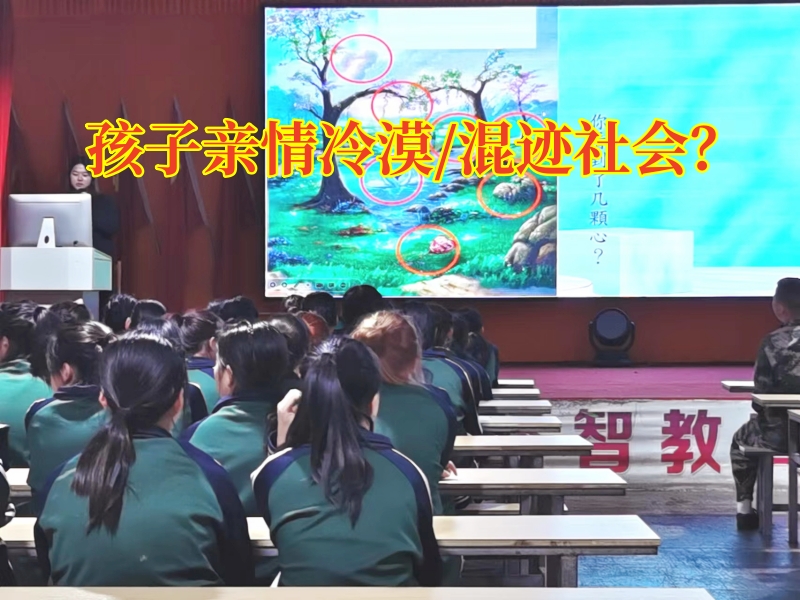 正規(guī)的封閉式學校分析孩子親情冷漠的原因