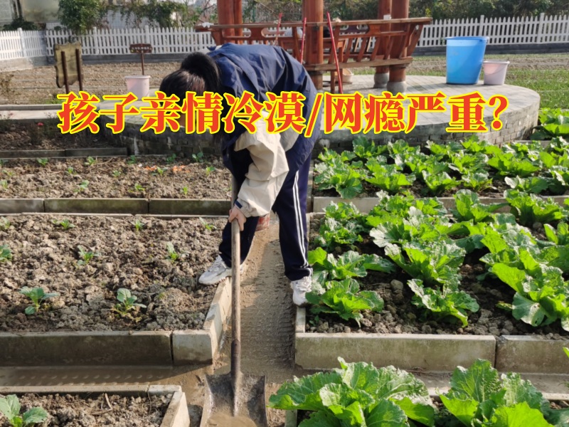 湖南叛逆孩子學校：孩子親情冷漠是受那些家庭因素影響？