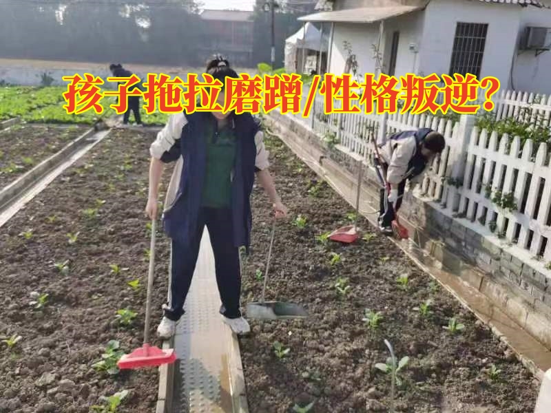 學(xué)生軍事化學(xué)校對付孩子的拖拉的三個方法，學(xué)生軍事化學(xué)校