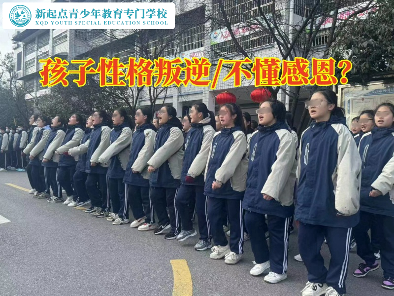 性格叛逆，矯正孩子學校教您解決女孩叛逆問題