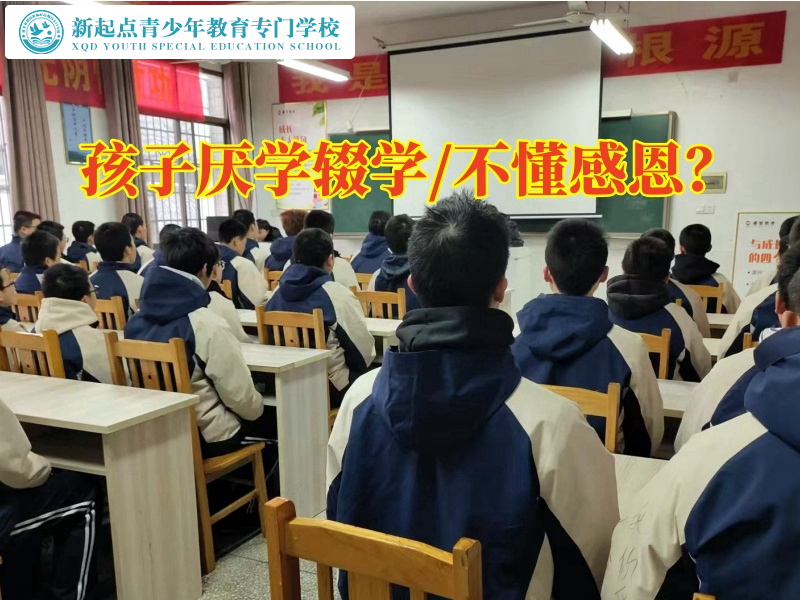 正規(guī)封閉式管教學(xué)校建議這樣教育不愛寫作業(yè)的孩子，正規(guī)封閉式管教學(xué)校