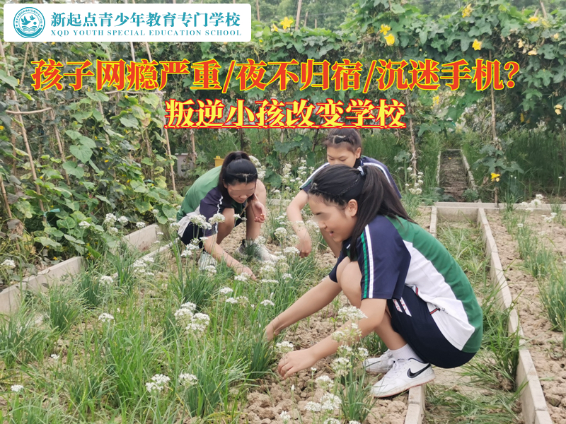 叛逆小孩改變學校矯正有網(wǎng)癮的孩子