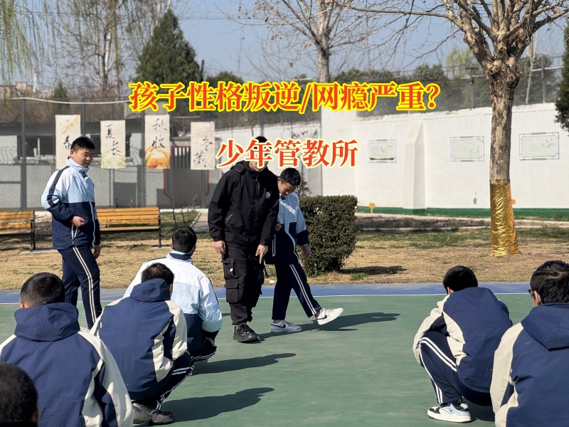 少年管教所教您如何戒掉幫孩子手機(jī)游戲