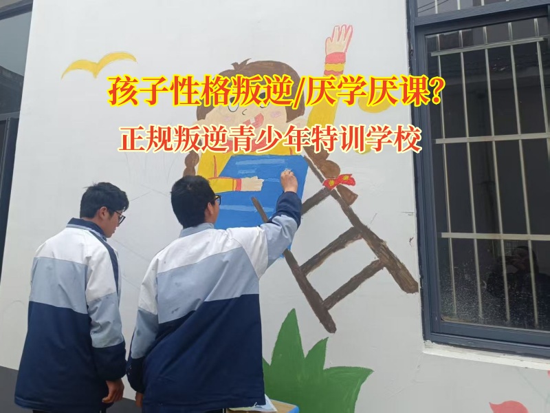 正規(guī)叛逆青少年特訓(xùn)學(xué)校解決孩子厭學(xué)逃課問(wèn)題