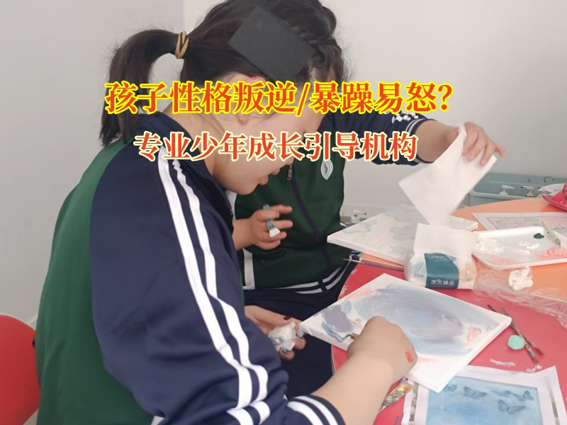 專業(yè)少年成長引導(dǎo)機構(gòu)助力易怒少年走出情緒迷霧