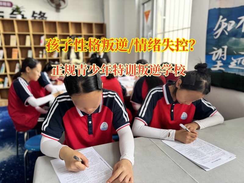 正規(guī)青少年特訓叛逆學校矯正孩子情緒失控問題