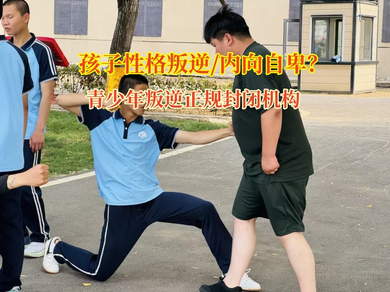 青少年叛逆正規(guī)封閉機構重視青少年無主見問題