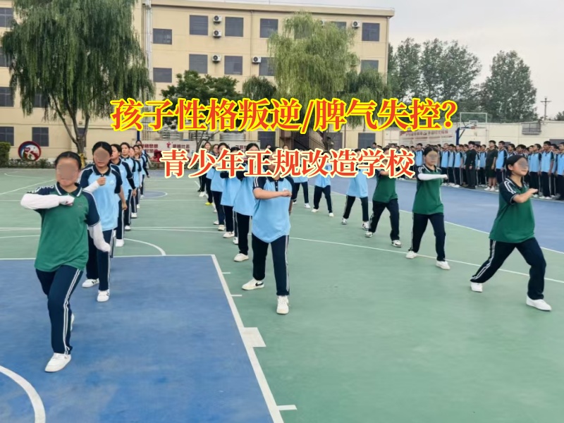 青少年正規(guī)改造學校應對高中孩子脾氣失控