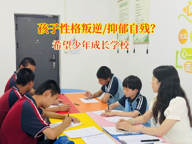 希望少年成長(zhǎng)學(xué)校為自殘孩子點(diǎn)亮希望之光