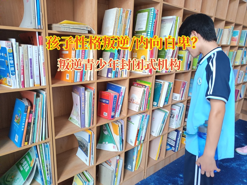 叛逆青少年封閉式機構給抑郁青少年一個避風港