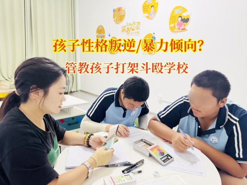 管教孩子打架斗毆學(xué)校為孩子暴力筑起和平之橋