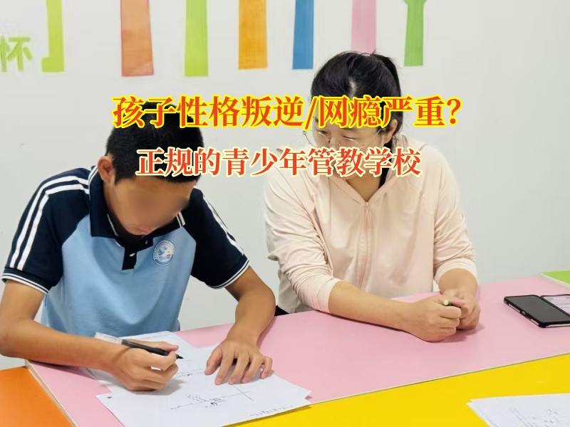 守護青春凈土，正規的青少年管教學校在行動!
