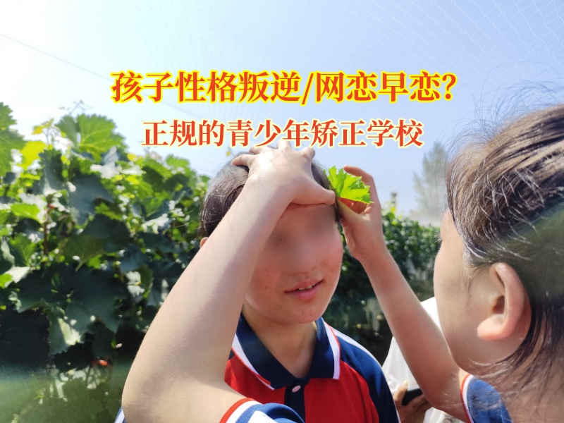 正規的青少年矯正學校幫青少年掙脫網戀“枷鎖”