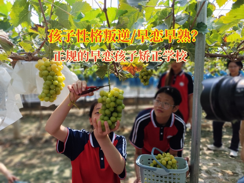 正規的早戀孩子矯正學校助早戀少年走出情感迷霧