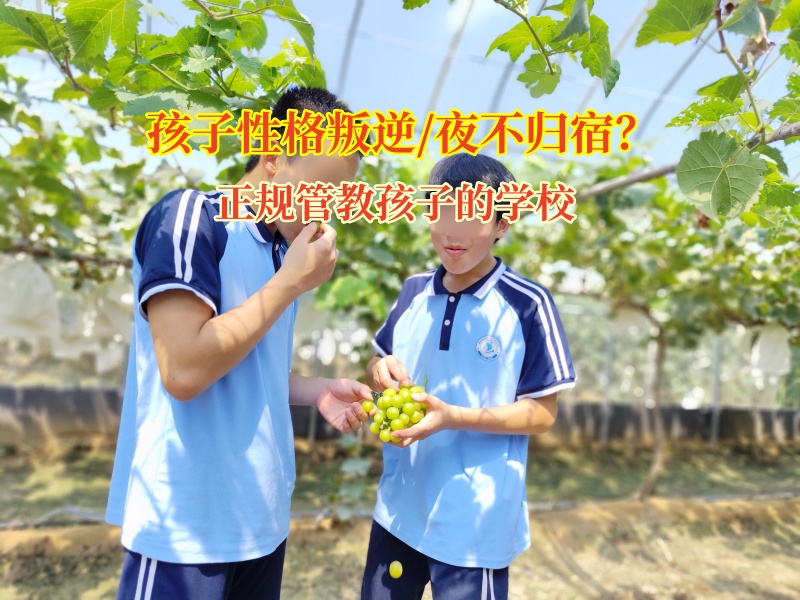 正規(guī)管教孩子的學校助夜不歸宿孩子歸正途
