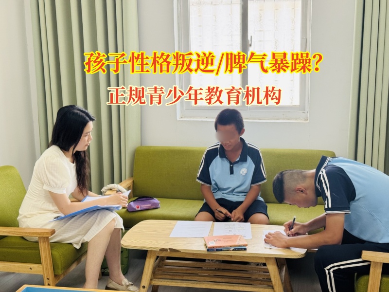正規(guī)青少年教育機(jī)構(gòu)為“暴脾氣”孩子按下情緒“暫停鍵”