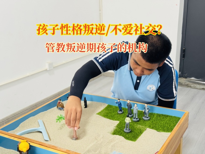 管教叛逆期孩子的機構(gòu)為“孤雁”孩子搭建社交橋梁