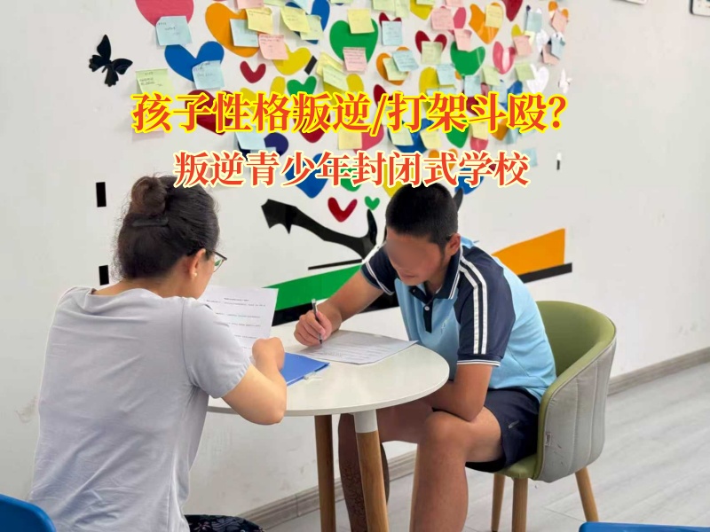 叛逆青少年封閉式學校為打架少年開啟理智之門